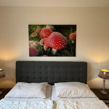 Harzpause Mit Balkon & Sauna - Ferienresidenz Wurmbergblick