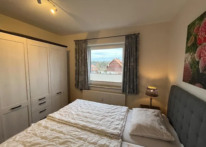 Apartment Harzpause Mit Balkon & Sauna - Ferienresidenz Wurmbergblick