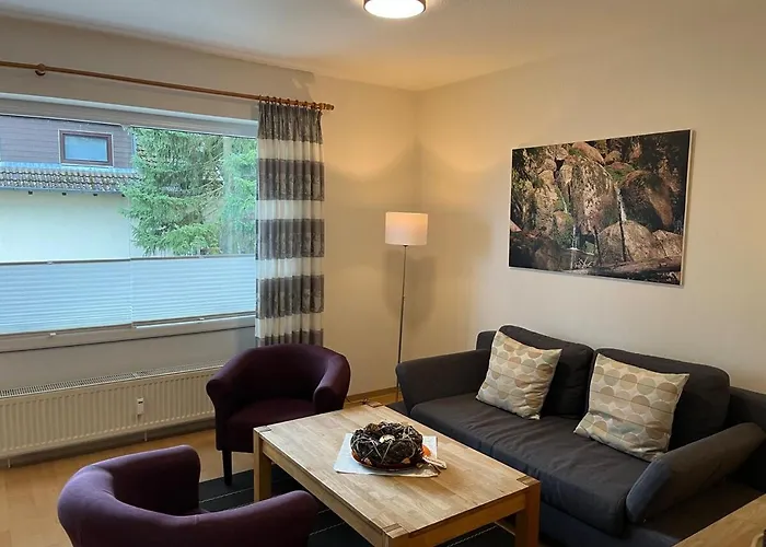 Harzpause Mit Balkon & Sauna - Ferienresidenz Wurmbergblick Apartment Braunlage